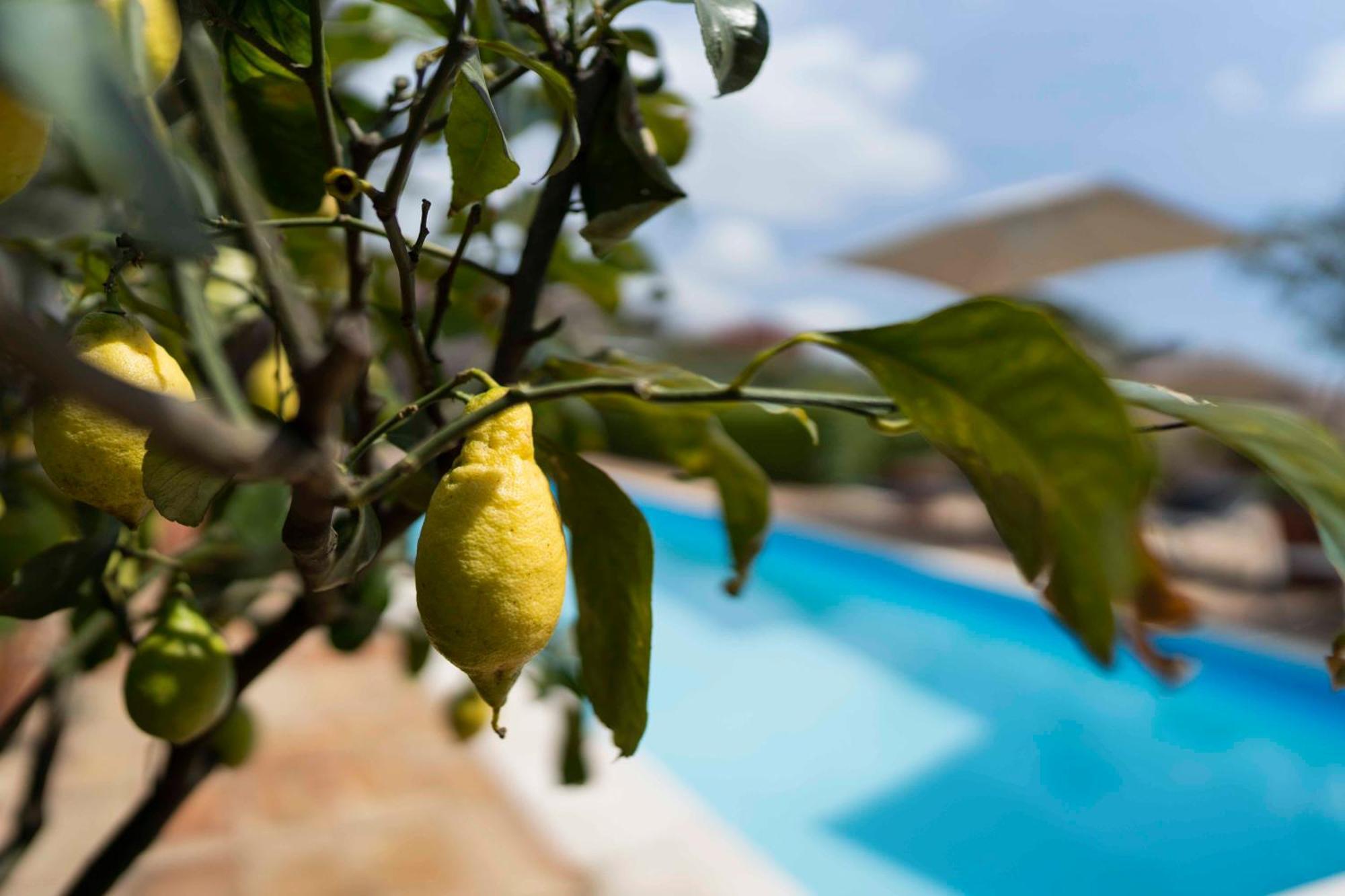 B&B Bellini Milo Ngoại thất bức ảnh